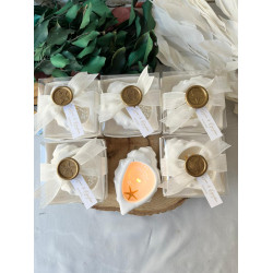  Büyük Denizkabuğu Mum – Yıldız Mühürlü