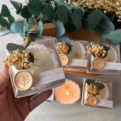  Cipso ve  Okaliptüslü Kuş Yuvası